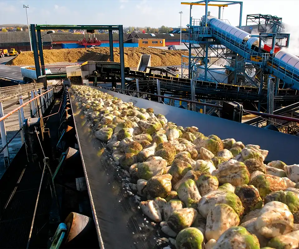 Chemical, Salt & Sugar Industry 2